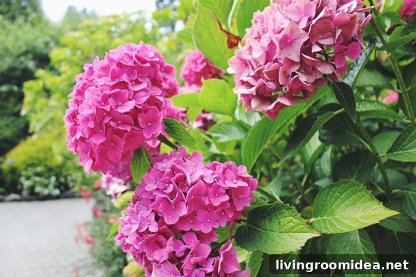 Visiting Butchart Gardens: What to See, When to Go, and Tips 10 Butchart Gardens