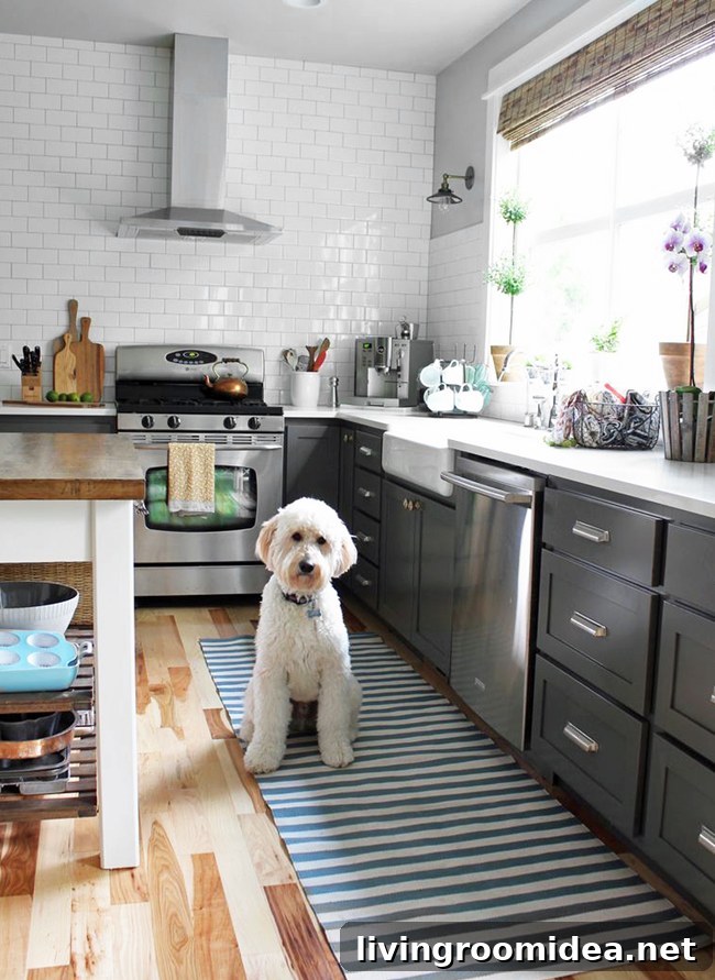 Kitchen Remodel Planning: 7 Expert Tips from The Home Inspiration Notebook 17 Charcoal and white kitchen with dash & albert rug and a goldendoodle