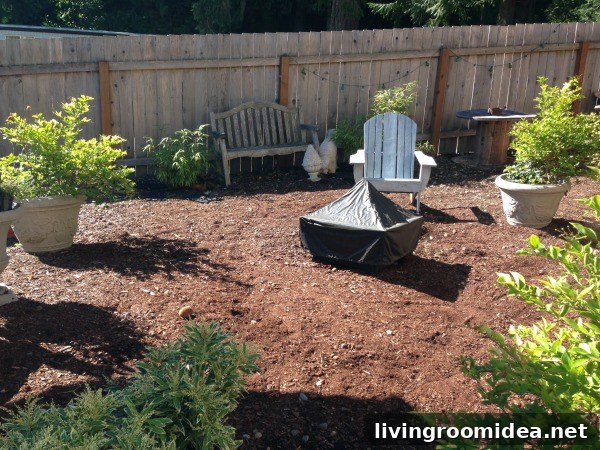 before the backyard makeover