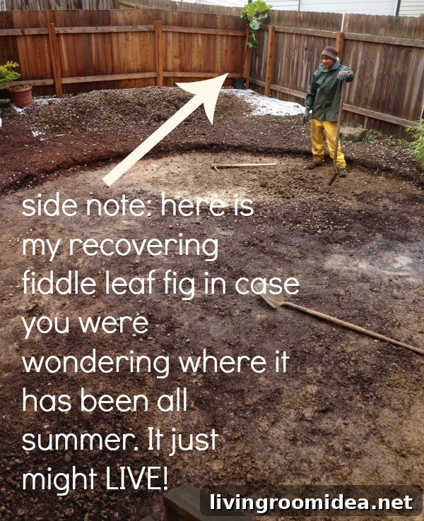 landscaping