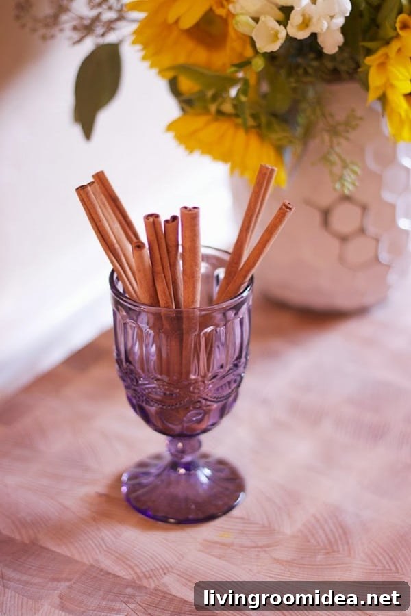 diy hot cider recipe
