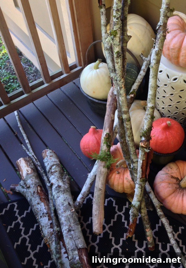 Decorating with Natural Branches: Stylish Home Decor Ideas 6 birch branches