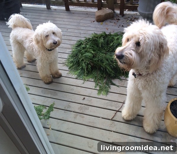 Christmas Home Tour: Festive Decor Ideas and Inspiration 16 jack & lily making a mess at christmas