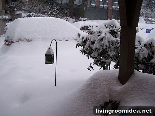 snow storm