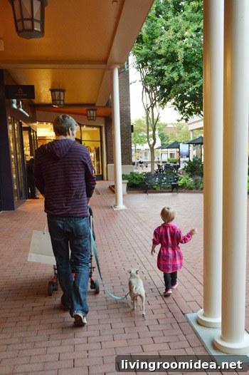 Evening walk