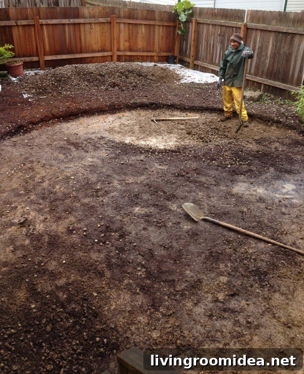 Fiddle Leaf Fig and pea gravel patio