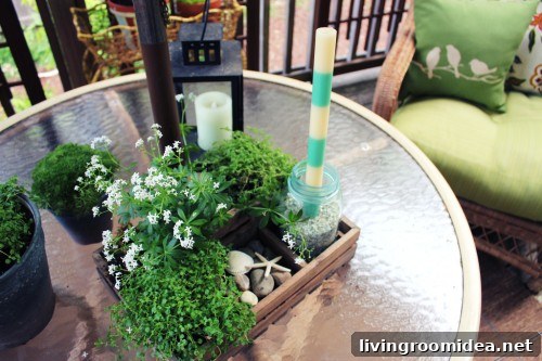 tabletop garden centerpiece in a crate
