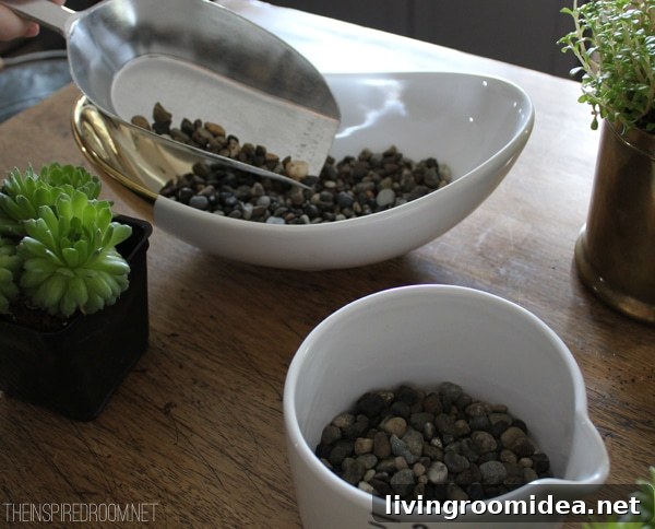Pea Gravel for Succulent Planting