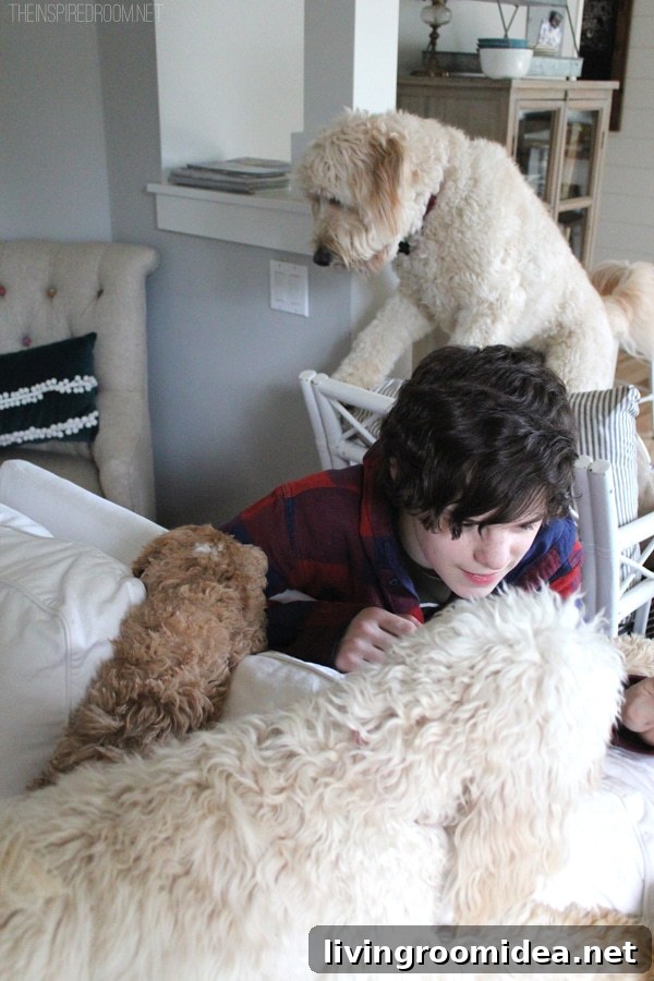 Life with Dogs