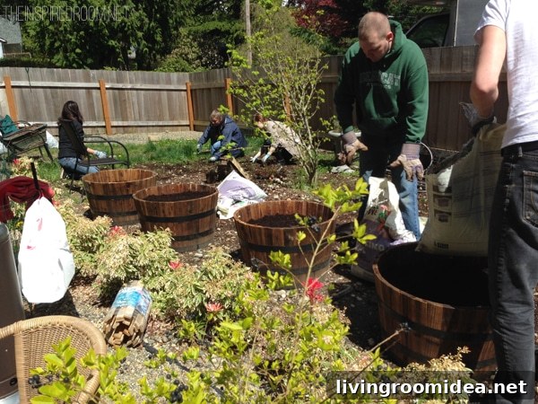 backyard gardening