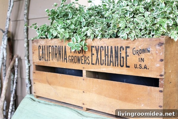 Wooden Fruit Crate as Planter - Front Porch Decorating