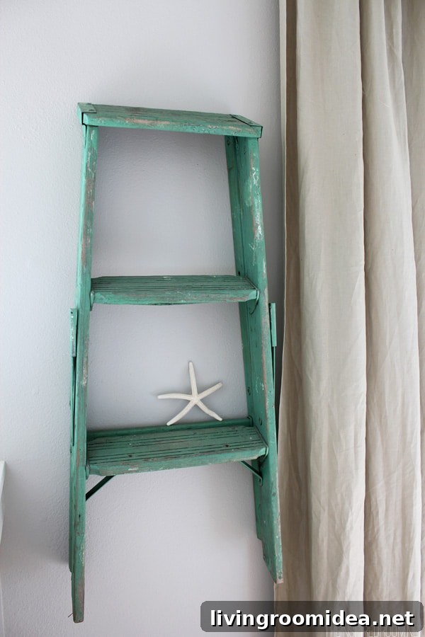 Thrifted Ladder Hung as a Display Shelf