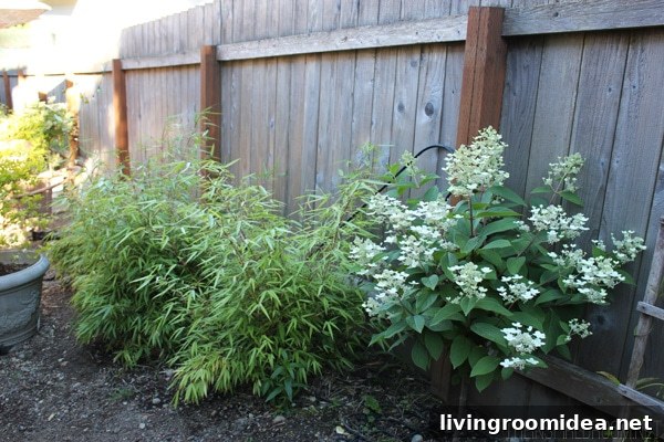 Backyard Garden Update: What’s New This Season 10 The Inspired Room Backyard Progress