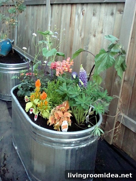 Water Troughs Turned Raised Garden Beds