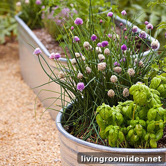 Water Barrel Planter