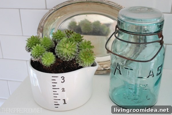 10 Simple Ways to Refresh Your Home Quickly 7 Tiny Succulent Garden in a measuring cup