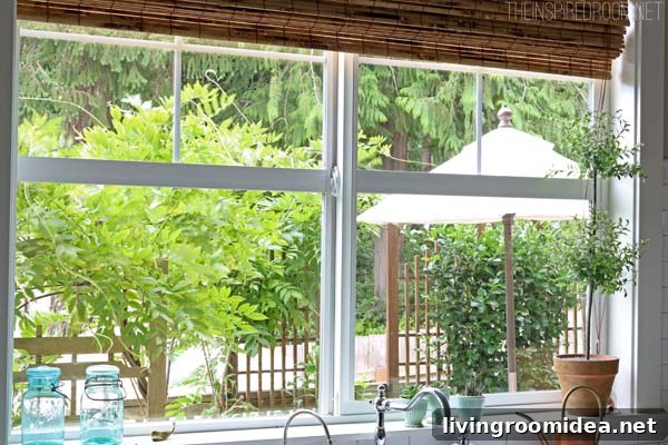 View from the kitchen window