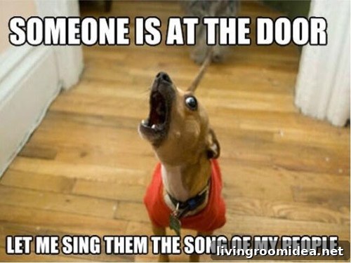Funny doorbell tweet