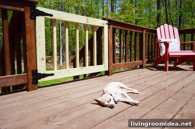 How to Strip a Deck for Staining: Step-by-Step Guide 21 img 60025 26
