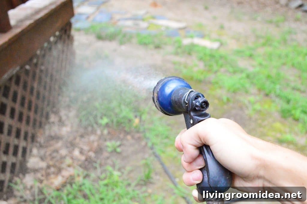 How to Strip a Deck for Staining: Step-by-Step Guide 7 Hose spraying grass and plants near deck