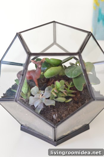 How to Build a Beautiful Terrarium at Home 12 img 63085 11
