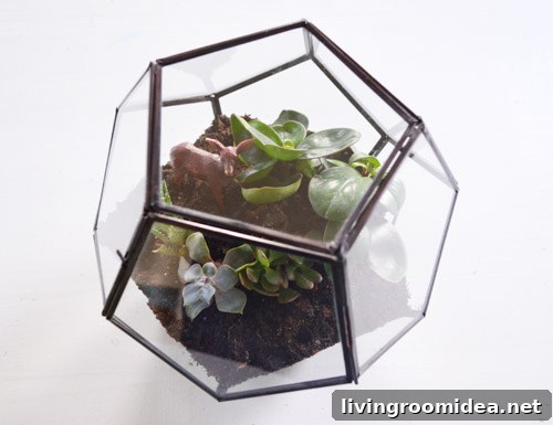 How to Build a Beautiful Terrarium at Home 13 img 63085 12