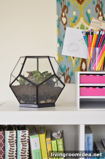 How to Build a Beautiful Terrarium at Home 4 img 63085 3