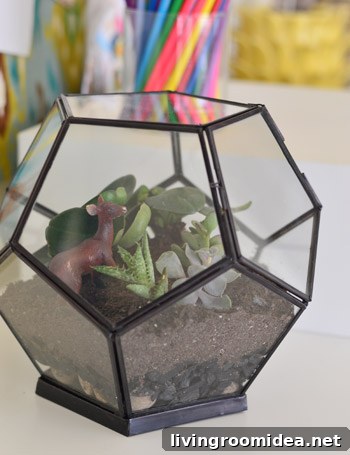 How to Build a Beautiful Terrarium at Home 6 img 63085 5