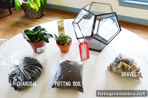 How to Build a Beautiful Terrarium at Home 7 img 63085 6