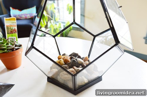 How to Build a Beautiful Terrarium at Home 8 img 63085 7