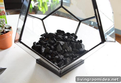 How to Build a Beautiful Terrarium at Home 9 img 63085 8