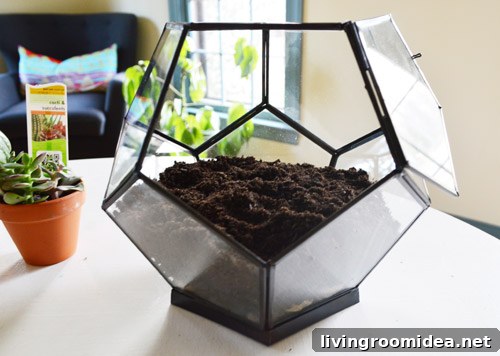 How to Build a Beautiful Terrarium at Home 10 img 63085 9