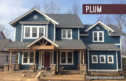 Door option - plum