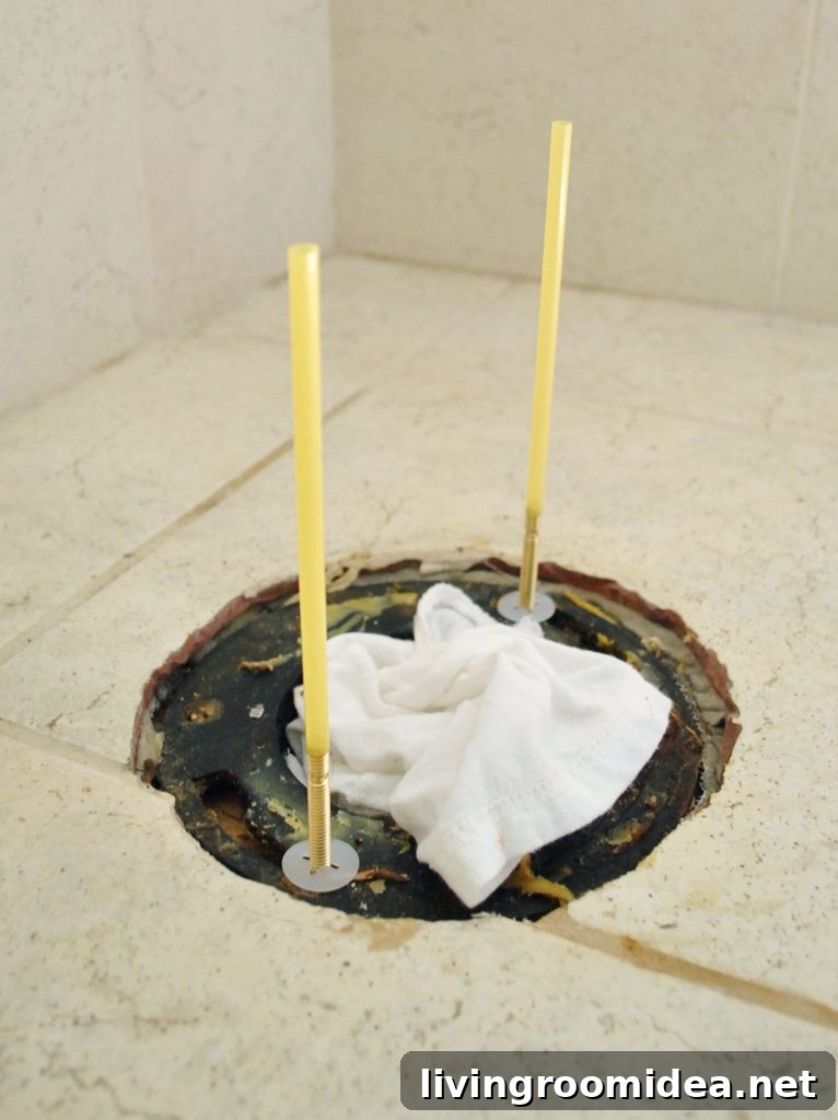 Straw Trick On Toilet Flange Bolts