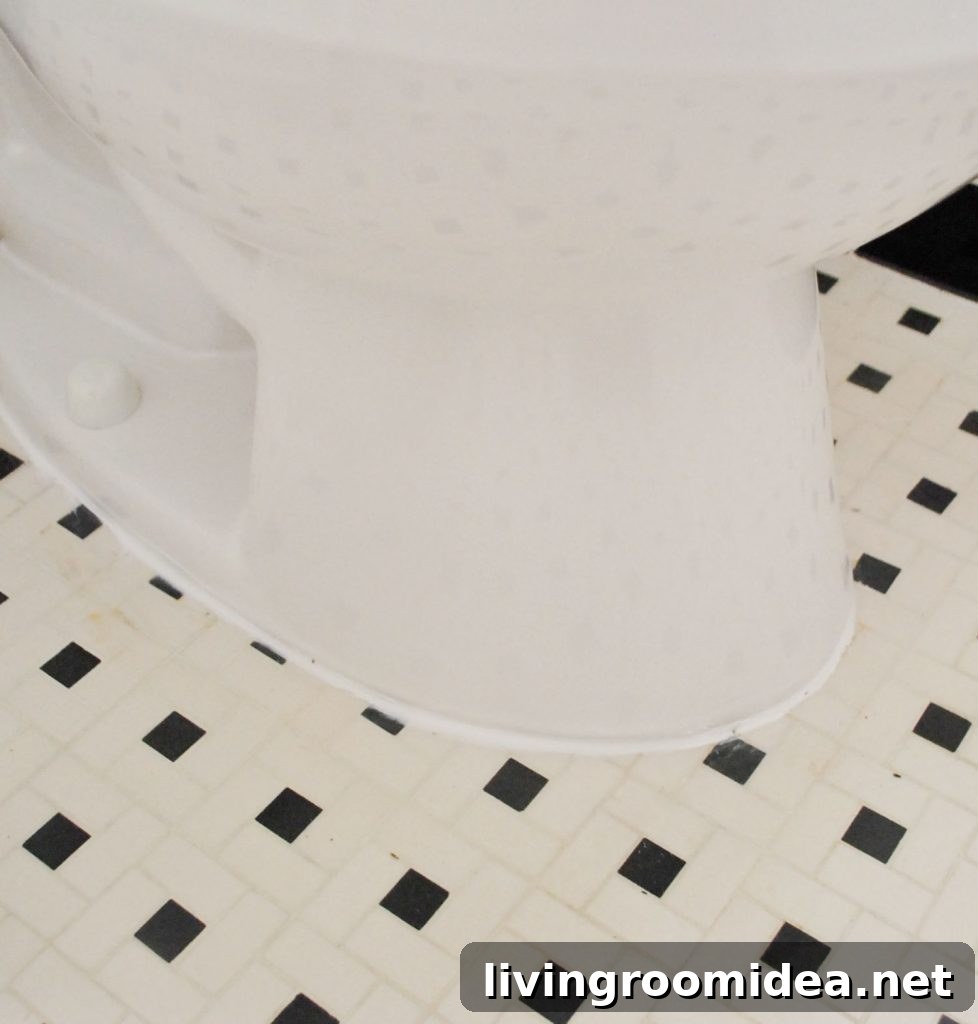 Line Of White Caulk Around Base Of Installed Toilet