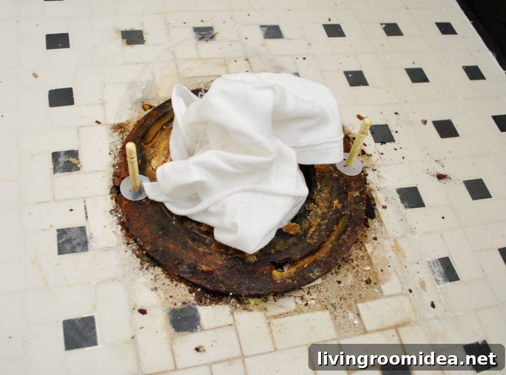 New Bolts On Toilet Flange With Rag In Sewer Hole