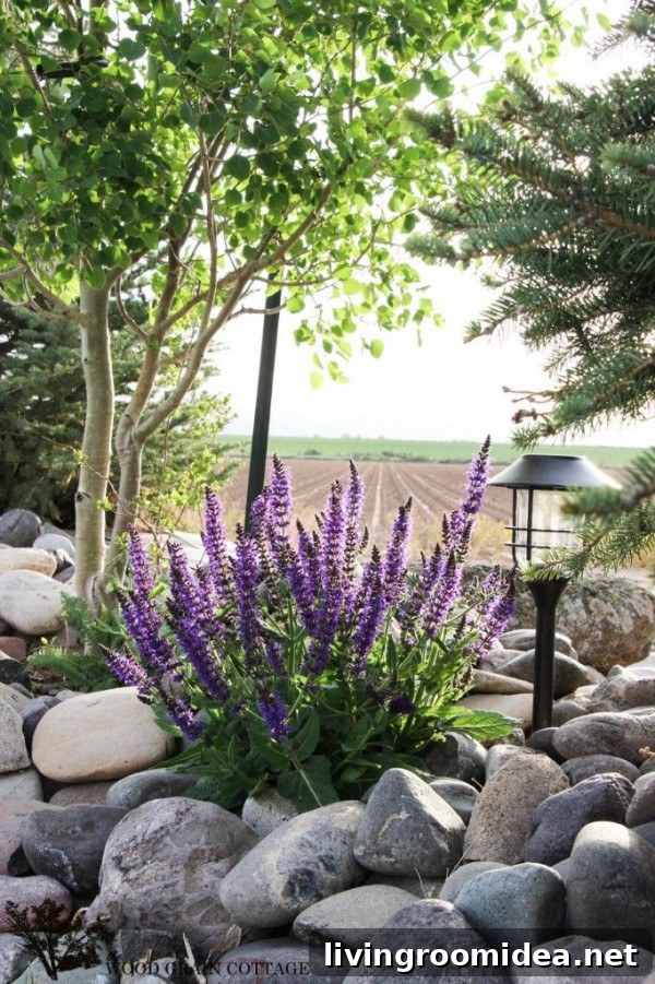 Creating an Outdoor Oasis = Texture