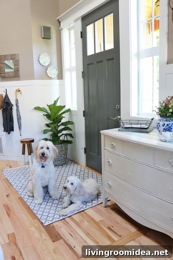 Entryway Rug Ideas: Stylish Indoor-Outdoor Options for Your Home 4 The Inspired Room Entry - Jack the Goldendoodle and Lily the Australian Labradoodle
