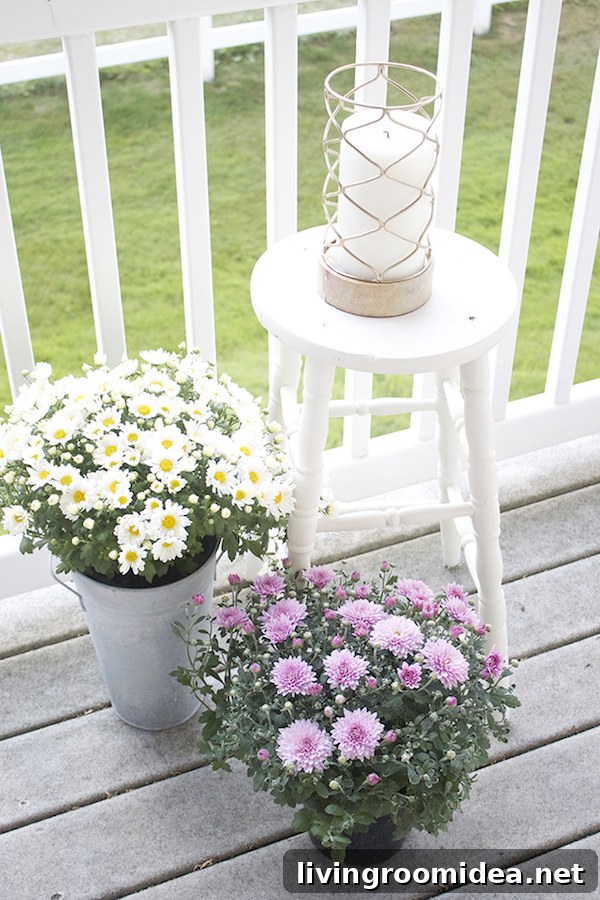 Transitioning to Autumn: Stylish Fall Wardrobe and Home Tips 2 Patio Flowers for Autumn - Mums