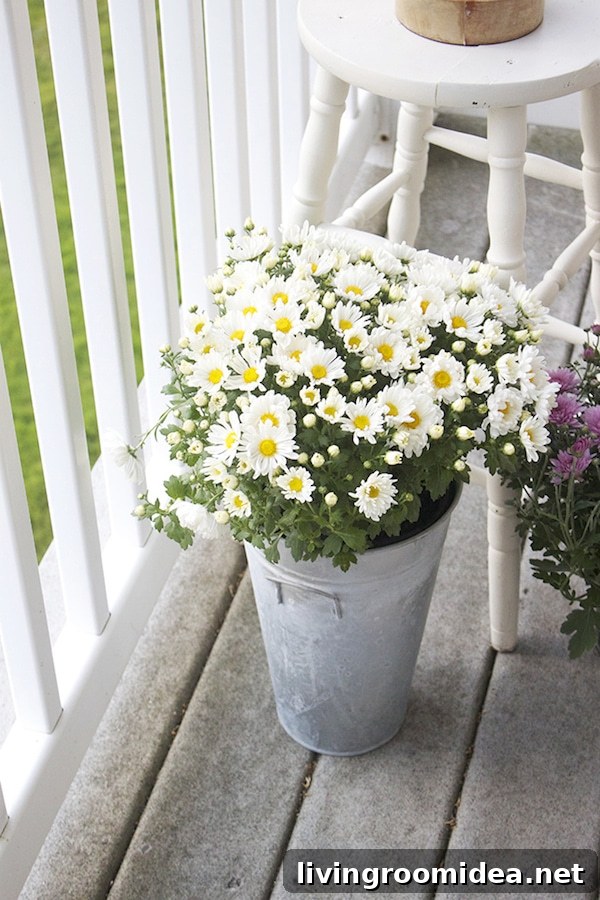 Transitioning to Autumn: Stylish Fall Wardrobe and Home Tips 4 Patio Flowers for Fall - Mums in Galvanized Tin