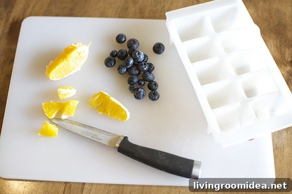 Fruit Ice Cubes - Orange Blueberry