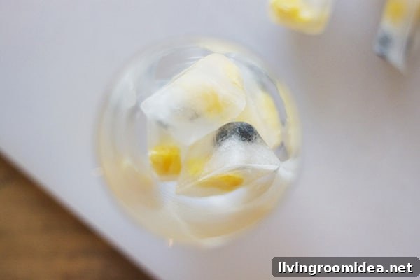 Fruit Ice Cubes - Oranges and Blueberries
