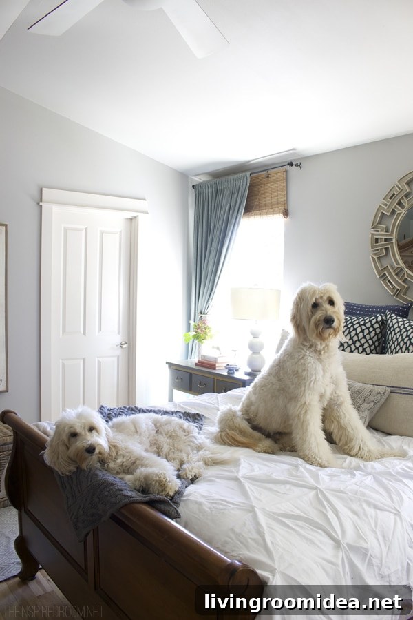 Cozy Fall Bedroom - Jack the Goldendoodle and Lily the Australian Labradoodle