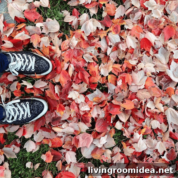 Colorful Fall Leaves - Converse - The Inspired Room