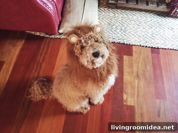 Fall Dog Traditions: Cozy Autumn Activities for Your Pup 2 Bella the Labradoodle in her Lion Costume