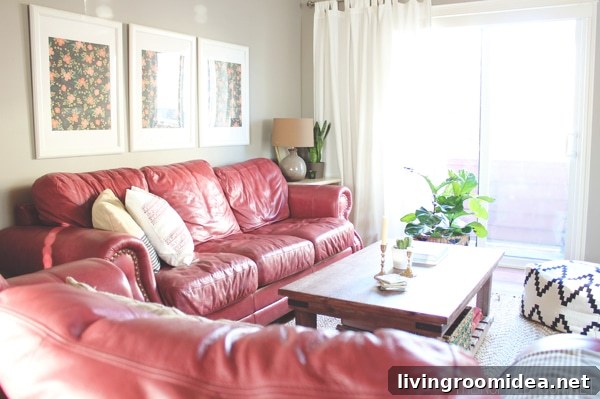 Red Sofas in the Living Room