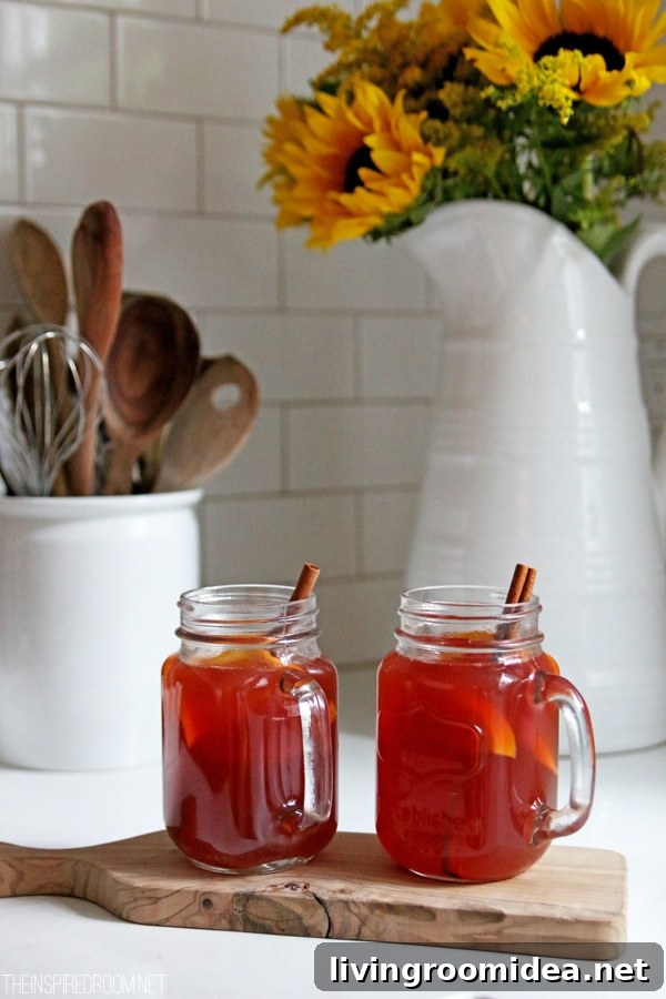 Mulled Cranberry Apple Cider Recipe — Cozy Fall Drink Ideas 4 Mulled Cranberry Cider