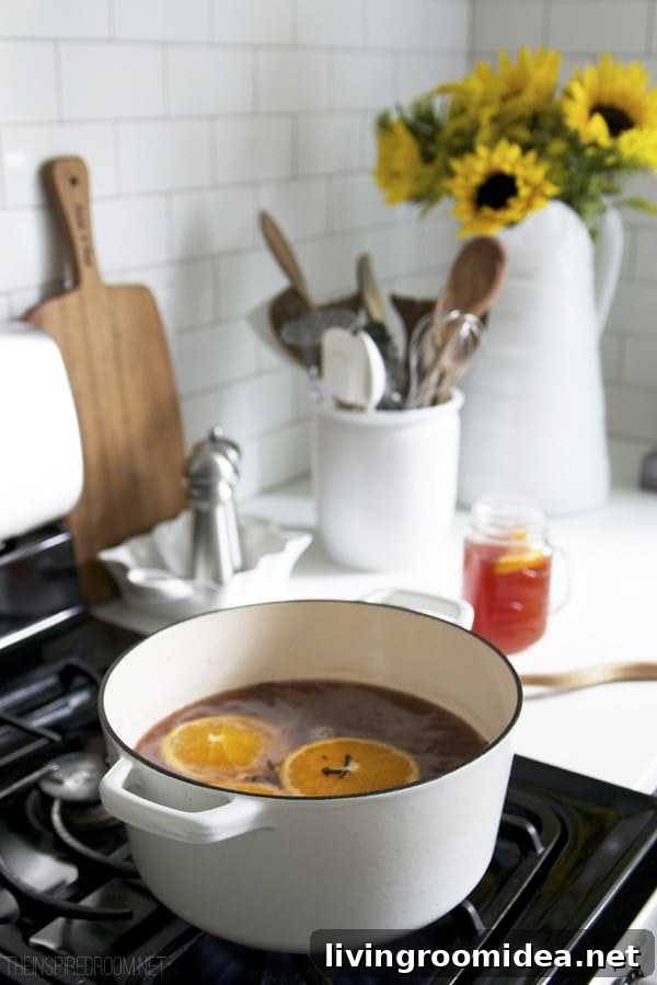 Spiced Cranberry Apple Cider