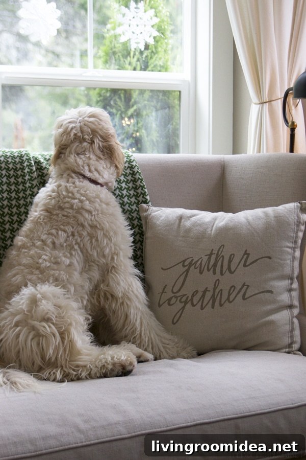 Jack the Goldendoodle - The Inspired Room Christmas House Tour