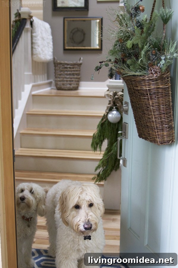 Jack the Goldendoodle and Lily the Labradoodle - The Inspired Room Christmas House Tour